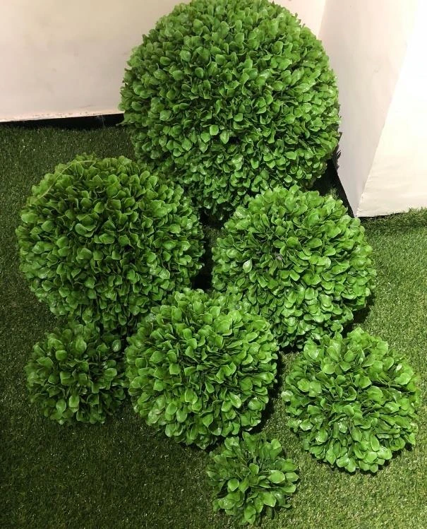 Eucliptus Big x1 Ball 25cm